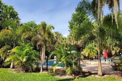 Image de 🐬 Piscine immense bain à remous cool Venez vous rafraîchir cet été 4/2 salles de bain, clôturé, zone de grill