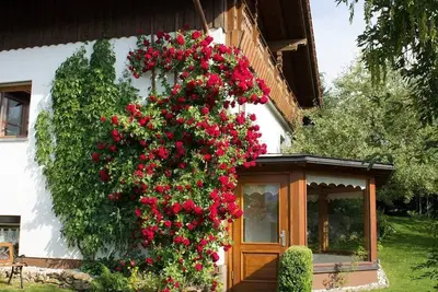 Image de Charmant appartement en sous-sol avec loggia et Wi-Fi au cœur de la forêt bavaroise
