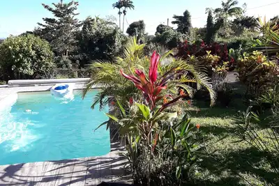 Image de T4 Meublé - 200 m2Terrasse Jardin Carbet et Piscine au sel