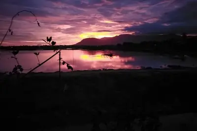 Image de Tentes de glamping de luxe