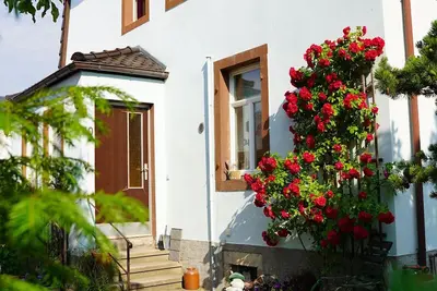 Image de petite oasis Ă Radebeul (pour 4 personnes)