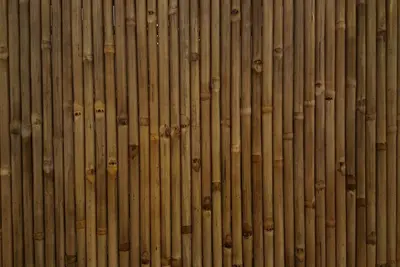 Image de Tam Homestay Hue Viet Nam