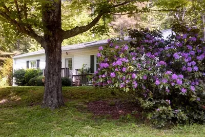 Image de Calme, confortable, au bord de la rivière 3 Br Accueil avec vue sur la montagne et la forêt