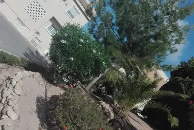 Image de Alicante Bungalow 380m2
