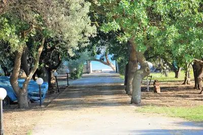 Image de Lagouti Beachfront Villa