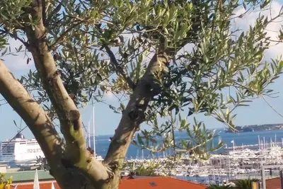 Image de House Palmyra La Spezia Near Cinque Terre Code Citra 011015-Lt-1377