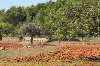 Image de Belle villa de campagne