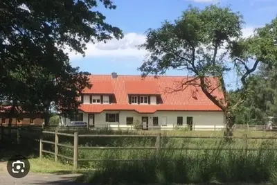 Image de Détente au milieu de la lande de Lunebourg - Ferienhaus Schaepe