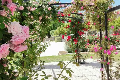 Image de Maison en Provence Lavande (piscine + les climatisations)