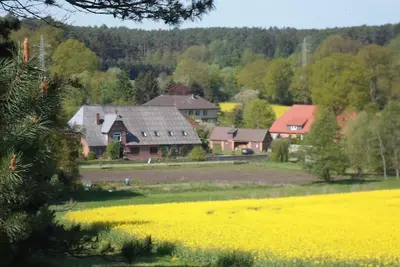 Image de Dans la paisible vallée de la Göhrde