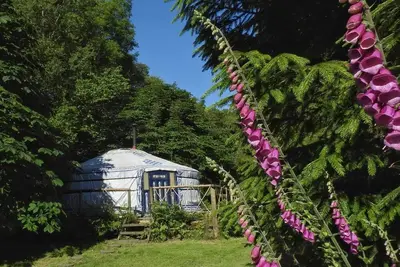 Image de Yourte mongole dans un cadre idyllique et totalement privé à Dartmoor