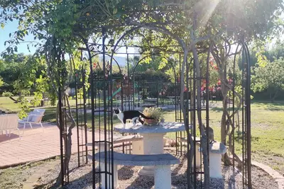 Image de Gîte en Provence - Rose