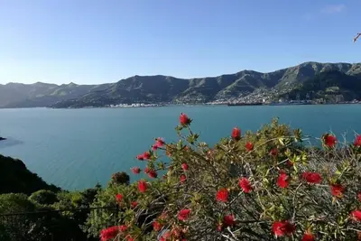 Image de Vues magiques du port