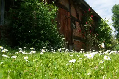 Image de En route pour l'été 09