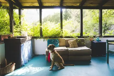 Image de Rêve vert dans le canyon de Cetina