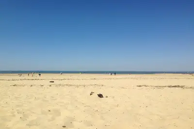 Image de Cabane de charme à 300 mètres du bassin. . .