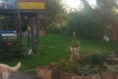 Image de durable plats-nah