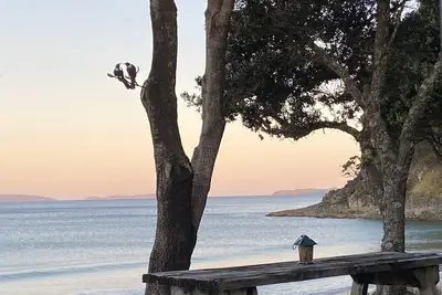 Image de Le bonheur sur la plage - Whangapoua