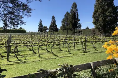 Image de Retraite dans les vignobles près du magnifique Abel Tasman
