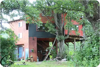 Image de Maison de l'arbre / Aménités complètes