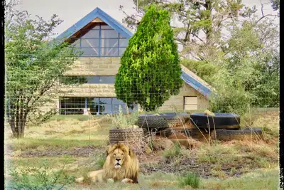 Image de Lion Lodge @ggconservation