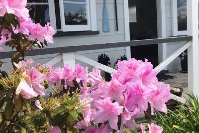Image de Whangamata Beach Cottage