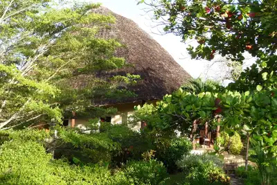 Image de Grande villa pouvant accueillir jusqu'à 10 personnes, 5000 m² grand jardin tropical + piscine privée