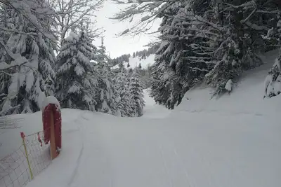 Image de Studio Ă la montagne aux pieds des pistes de ski