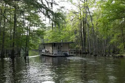 Image de Explorez les bayous du sud de la Louisiane!