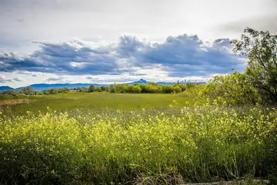Image de Grande maison de campagne entre Powell et Cody