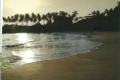 Image de Cabarete est idéal pour le kite surf!