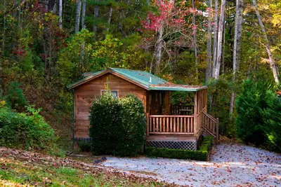 Image de Big Bear Cabin Rentals 2 Bd / 1 Ba Moose Cabin - Près de la ville, calme, Vue boisée