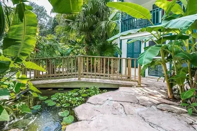 Image de Oasis tropicale sur la baie