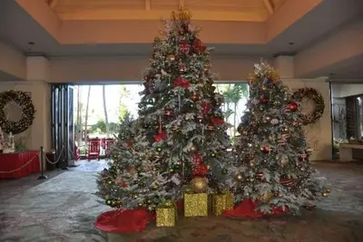 Image de Xmas Week Lagoon Tower Vue Mer 2br 2bath Hilton Hawaiian Village