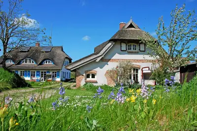 Image de Maison de vacances Sonnenwinkel sous le toit de chaume avec sauna et cheminée