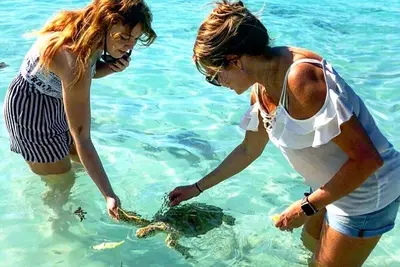 Image de Retraite spirituelle dans la magnifique plage du Tropique du Cancer