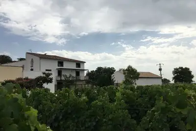 Image de Grande maison au cœur des vignes bio