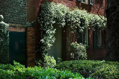Maison historique de Tattnall avec jardin luxuriant - Animaux acceptés!