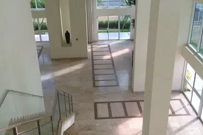 Image de Mandarin Salvador Faire les boutiques