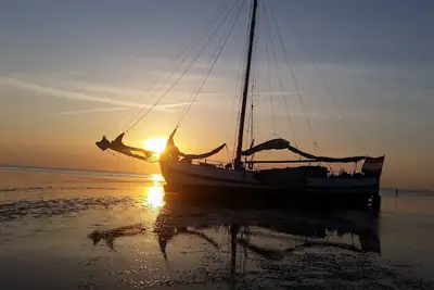 Image de tjalk chasse pélican Enkhuizen