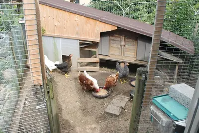 Image de Gästehaus Schwien - Appartement 66 m², pour max. 6 personnes.