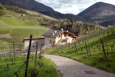 Image de Appartements Maso Besleri dans le vignoble avec cuisine et terrasse pour événements