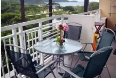 Image de Pico de loro 2br (Myna A 514)