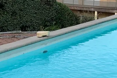 Villa Pyla-sur-Mer, près de la plage et de la dune du Pilat, 8 personnes