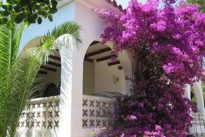 Image de Villa en situation exclusive, surélevée 1er ligne de mer, 300m de la mer, 170m²