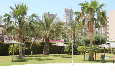 Image de Boutons de manchette Carmenchu 26