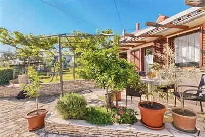 Image de Appartement Orange Tree