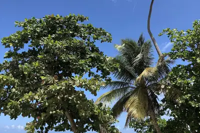 Image de Aquatika 4401 Beach Retreat