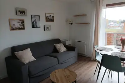 Image de Appartement rénové 2 pièces avec balcon et parking gratuit