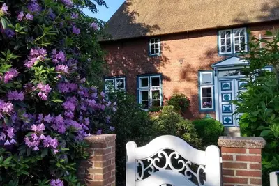 Image de Toit de chaume et propre jardin